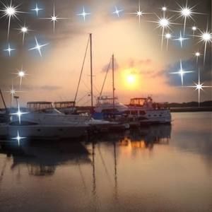 Meet your Posher, Judy